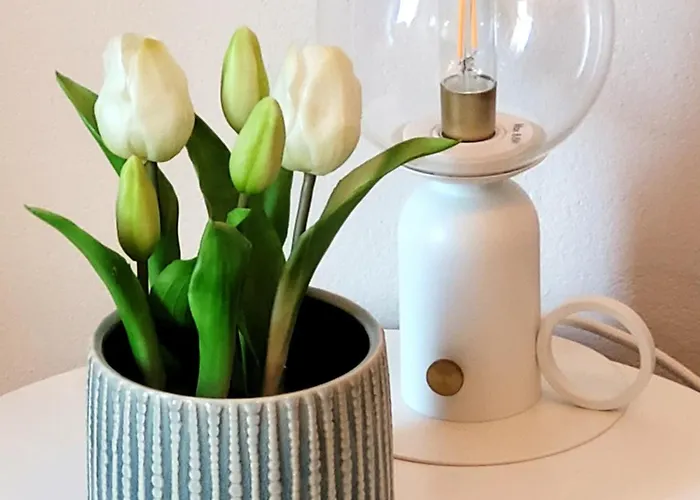 Kellifornia Appartement Kellenhusen